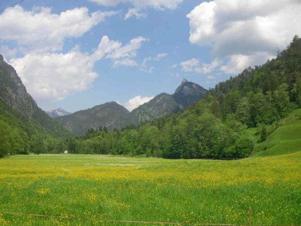 Frühlingswiese mit Rabensteinhorn