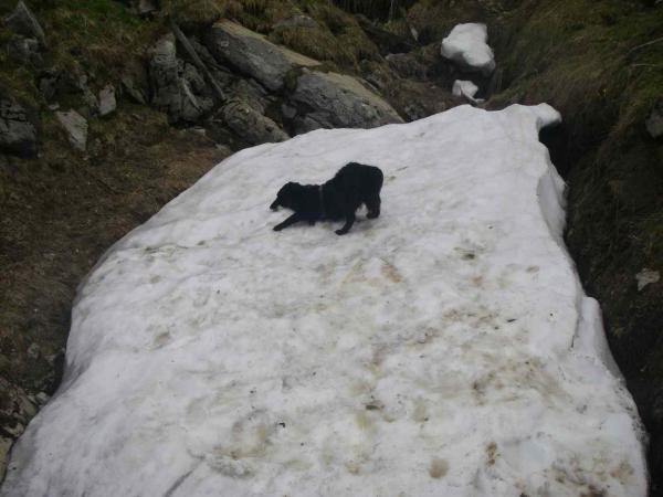 Fee findet den Schnee recht schee