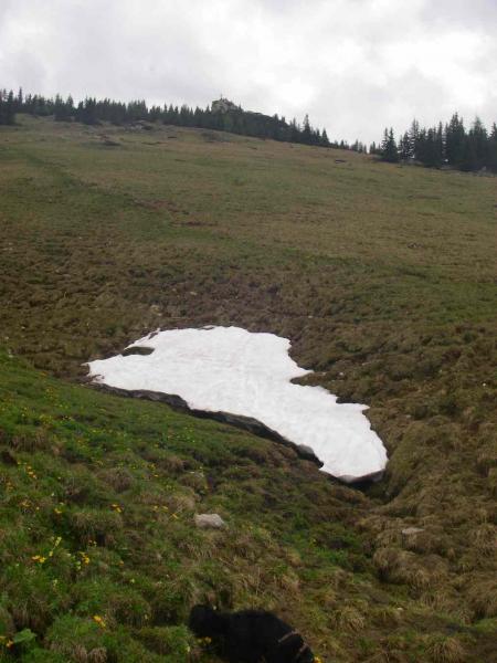 Peitingköpfl in Sicht