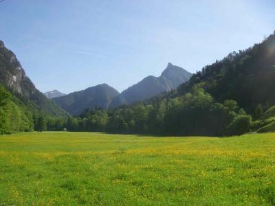 ...die die Kinder vorbei an der leuchtenden Wiese...